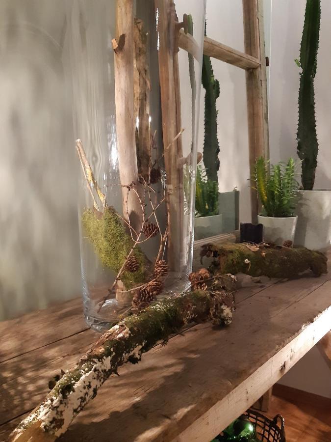 Chambres D'Hotes Herbes Folles Steenwerck Eksteriør bilde